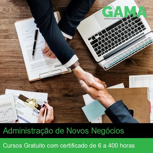 Administração de Novos Negócios